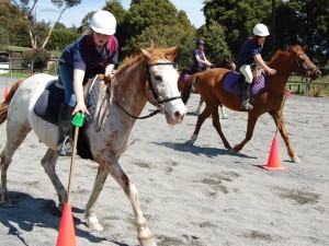 horse riding holiday programs in melbourne 