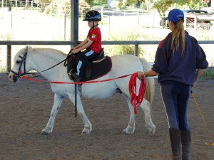 Lunge-Lesson-horse-riding-in-melbourne