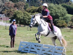 Cross-country-lesson-horse-riding-in-melbourne