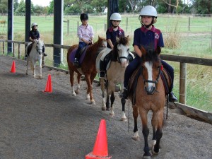 horse-riding-in-melbourne-beltain