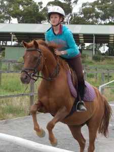 horse riding lessons in melbourne beltain park 